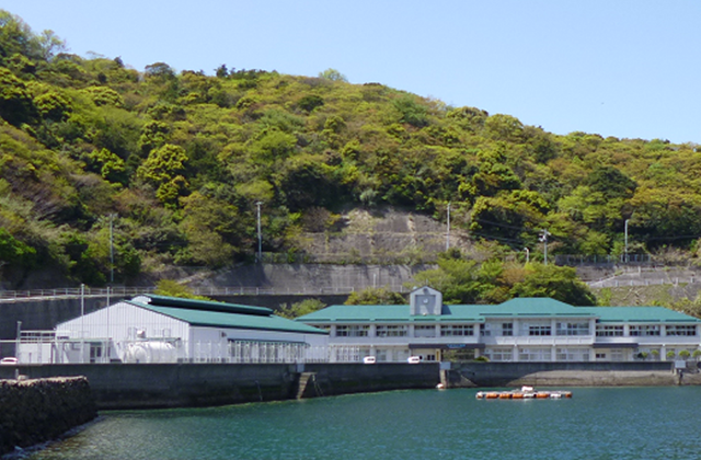 うみらいく愛南（愛南町地域産業研究・普及センター）の写真